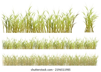 dry grass. brown grass set
