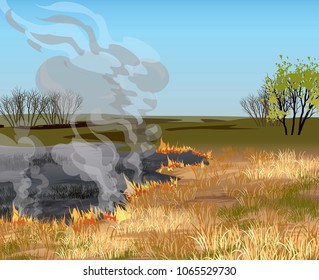 Dry grass field in fire vector illustration.