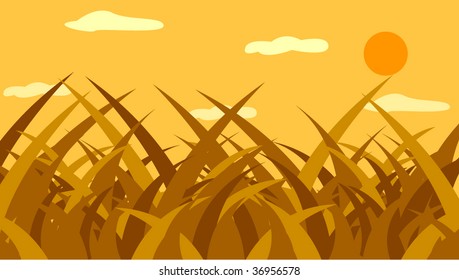 dry grass foliage in a field
