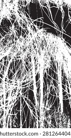 Dry grass root vector image focusing on the texture and shape of the grass - illustration.