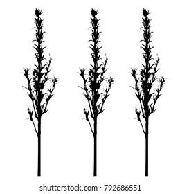 Dry grass. silhouette. Vector illustration, graphic on white background. 