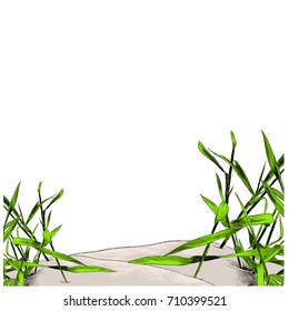 dry grass sketch vector graphics color picture