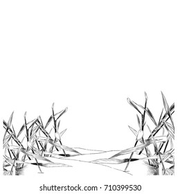 dry grass sketch vector graphics monochrome drawing