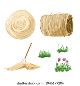 Dry hay and green grass for pets. Isolated elements on a white background