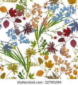 Dry herbarium plants seamless pattern with flowers and leaves on white background vector illustration