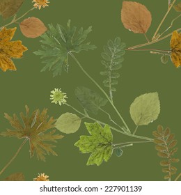Dry herbarium plants seamless pattern with flowers and leaves on green background vector illustration