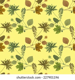 Dry herbarium plants seamless pattern with flowers and leaves on yellow background vector illustration