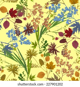 Dry herbarium plants seamless pattern with flowers and leaves on yellow background vector illustration