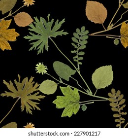 Dry herbarium plants seamless pattern with flowers and leaves on black background vector illustration