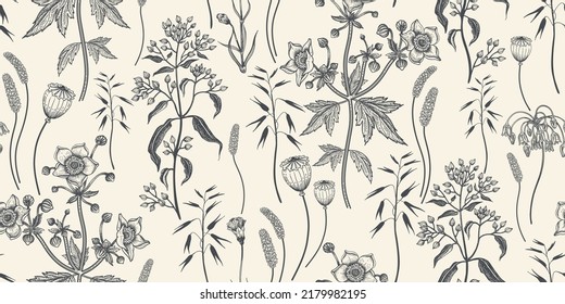 Dry herbs, cereals, and wildflowers seamless pattern. Navy blue Vintage background for creating textiles, fabrics, paper, wallpapers. Dark background. Vector illustration.