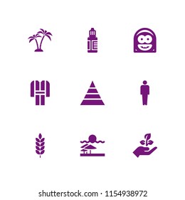 dry icon. 9 dry set with pyramid, seeding, branch and ginger vector icons for web and mobile app