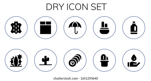 conjunto de iconos secos. 10 iconos secos rellenos.  Iconos modernos sencillos, como: Piel, Cactus, Lavadora, Paraguas, Bale, Detergente, Lavado