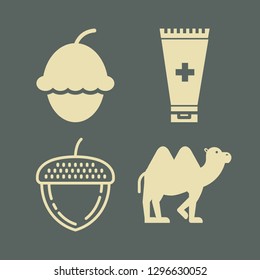 dry icon set with camel, onintment and acorn vector illustration
