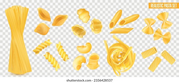 Dry italian pasta types realistic set with spaghetti penne farfalle tagliatelle fusilli isolated on transparent background vector illustration