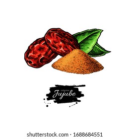 Dry Jujube vector drawing. Chinese Date isolated illustration. Hand drawn botanical dried berries and leaves with powder. Detailed tropical fruit. Sketch of medicinal herb.