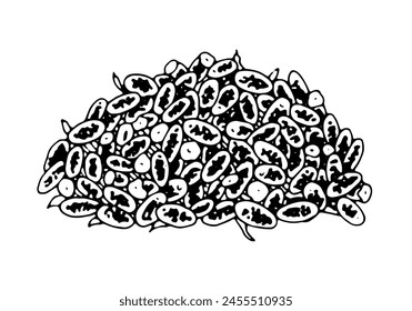 Dry Lavender flowers pile Vector line art. Outline illustration of floral tea. Black and white sketch of officinalis for aroma sachet. Bunch of herbs drawing on isolated background. Hand drawn clipart