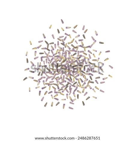 Dry lavender flowers vector icon, scattered lavandula perfume buds, petals, fragrance lilac blossoms, violet spice seeds, small dried purple flowers on white background isolated