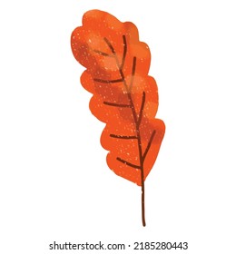 dry leaf Autumn element isolated on white background. Flat design