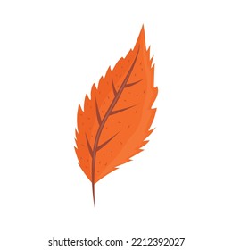 icono de otoño de hoja seca aislado