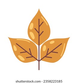 dry leaf autumn icon isolated vector