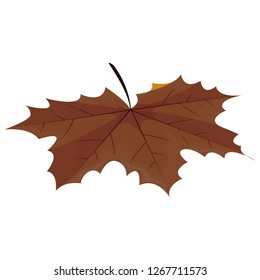 dry leaf design
