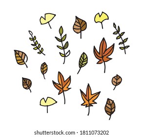 dry leaf in fall season