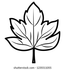 dry leaf icon 