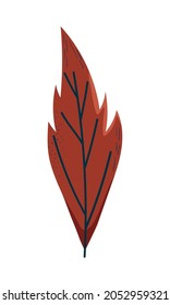 dry leaf icon on white background