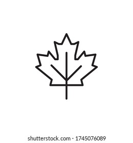 dry leaf icon outline design vector. isolated on white background