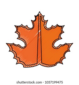 dry leaf icon over white background colorful design  vector illustration