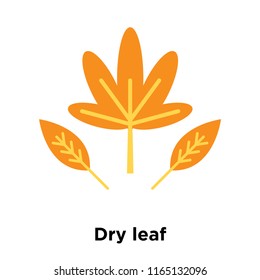Dry leaf icon vector isolated on white background, Dry leaf transparent sign , snowy cold winter symbols