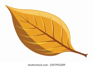 a dry leaf illustration art