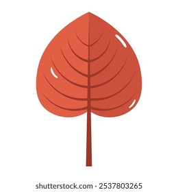 dry leaf nature element isolated