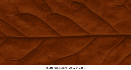 Dry leaf texture background pattern, vector abstract, botanical texture design for wall art and wallpaper.