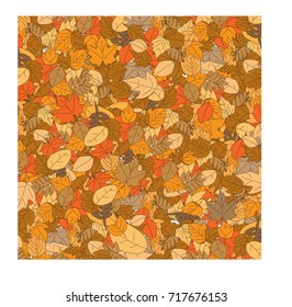 The dry leaves in autumn background vector