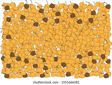 Dry leaves background in autumn.