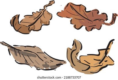 Dry Leaves Brown Crunchy Fallen Tree Leaf Colofur Fall Icon Isolated On White Background