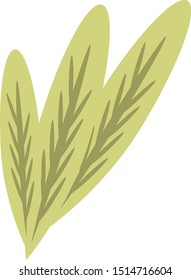 dry leaves fall in autumn