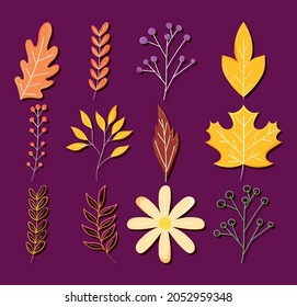 dry leaves and flower set