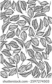 Dry leaves Line Art drawing black on white background 