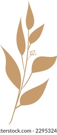 dry leaves, nature, vector, illustration, leaves, flora, summer, botanical, design, leaf, brown
