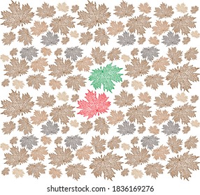 Dry leaves Vector and paper Gift wrap