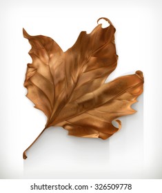 Dry maple leaf, autumn vector icon