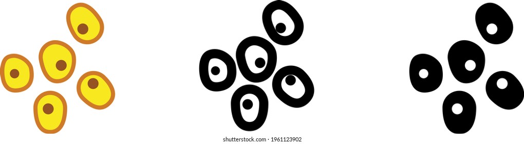 Dry millet , vector illustration