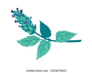 Dry mint plant flat icon Decor for food. Vector illustration