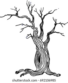 Dry oak with a duple. Graphic drawing.