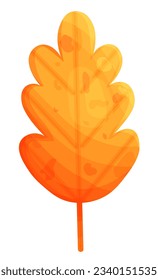 Dry oak leaf in orange and yellow color in cartoon style