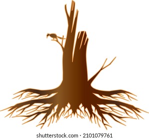 dry oak tree trunk with roots