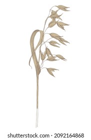 Dry oat on stem in retro style