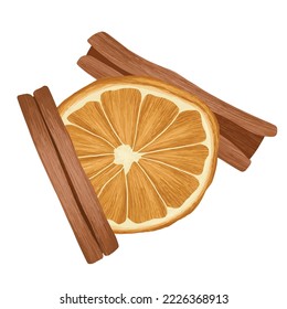 Dry orange with cinnamon sticks, vector art